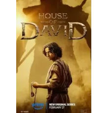 Дом Давида 1 сезон  (2025)