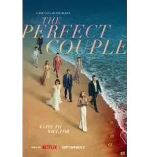 Идеальная пара 1 сезон  (2024)