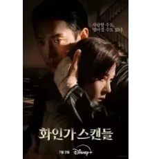 Красный лебедь 1 сезон  (2024)