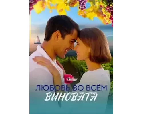 Любовь во всём виновата 1 сезон  