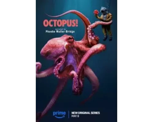 Осьминог! 1 сезон   