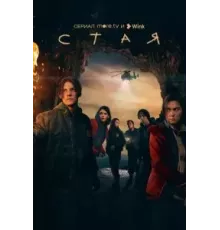 Стая 1 сезон  (2022)