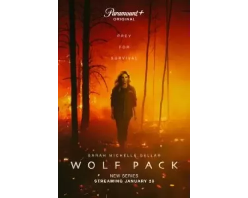 Волчья стая 1 сезон   
